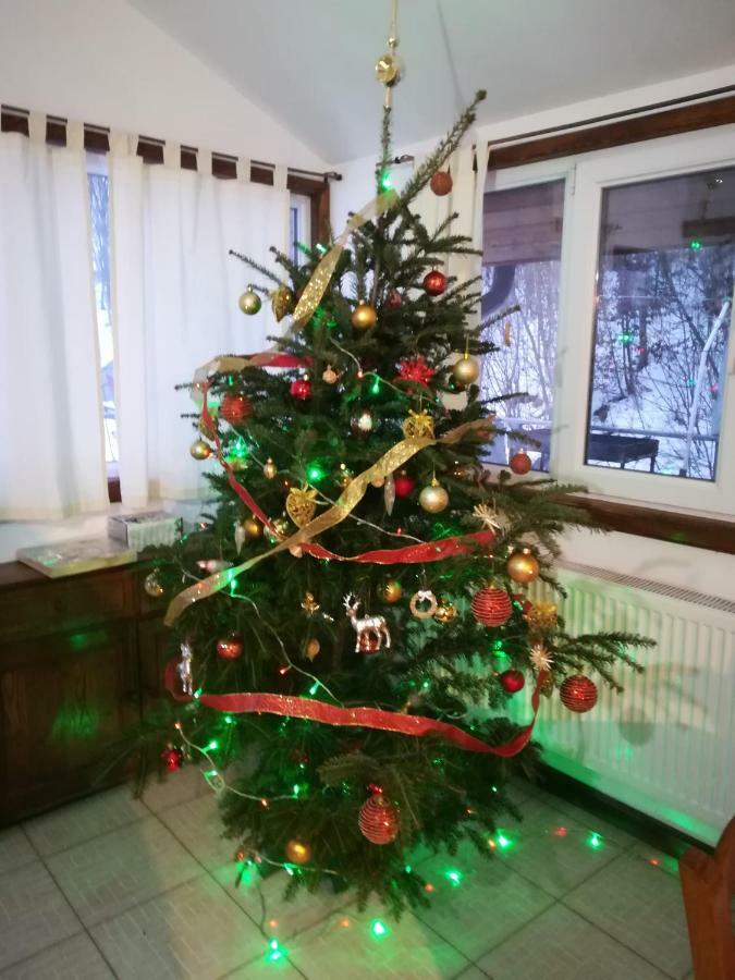 Vila Margareta Árgyasudvarhely Kültér fotó