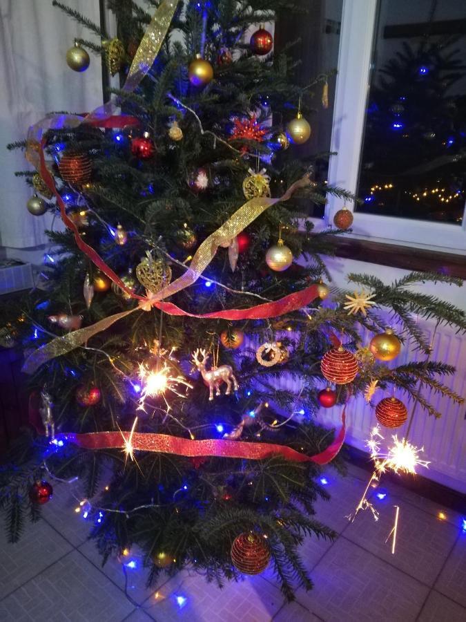 Vila Margareta Árgyasudvarhely Kültér fotó